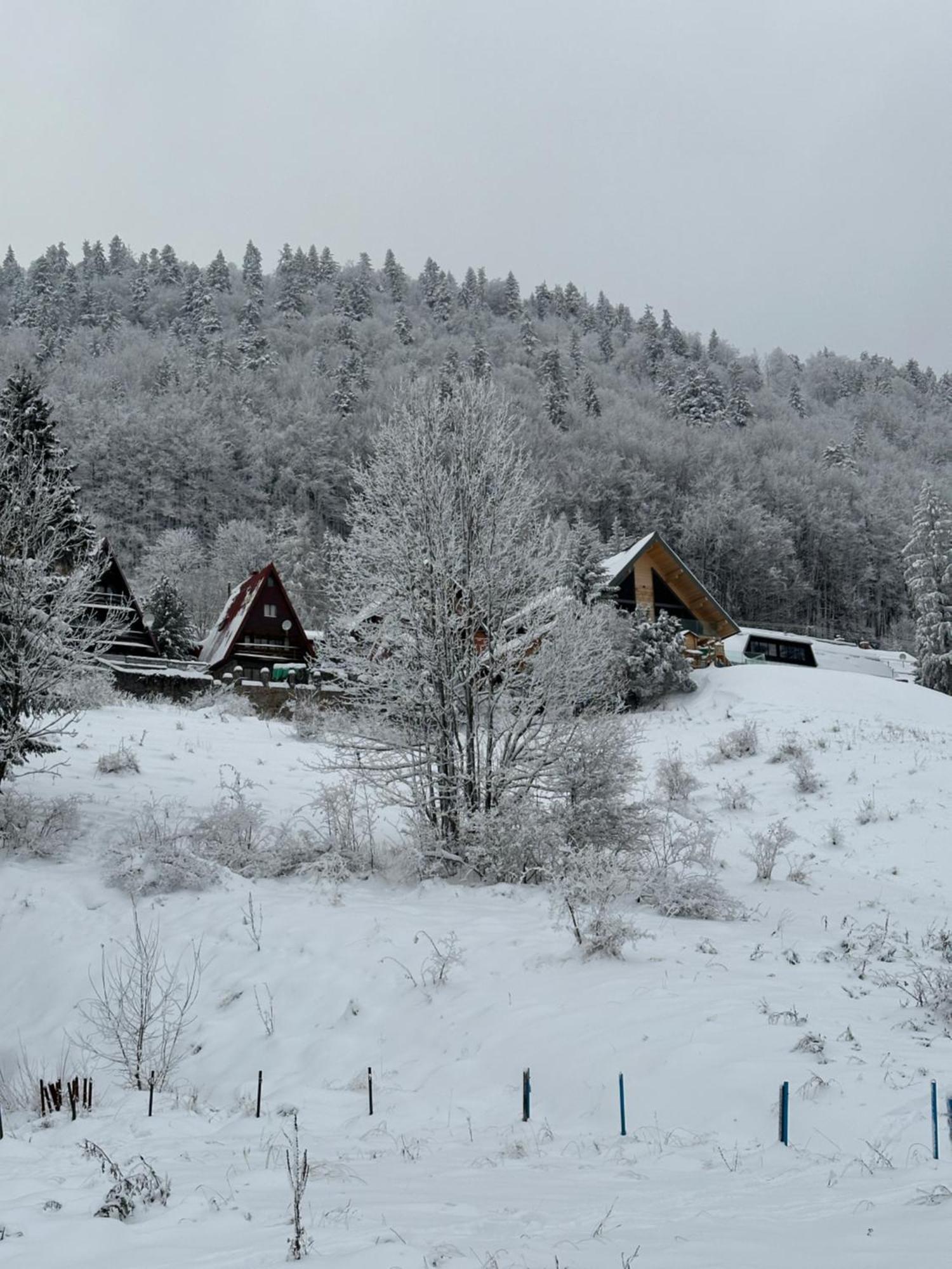 Apartman Forest View Donovaly Exteriör bild