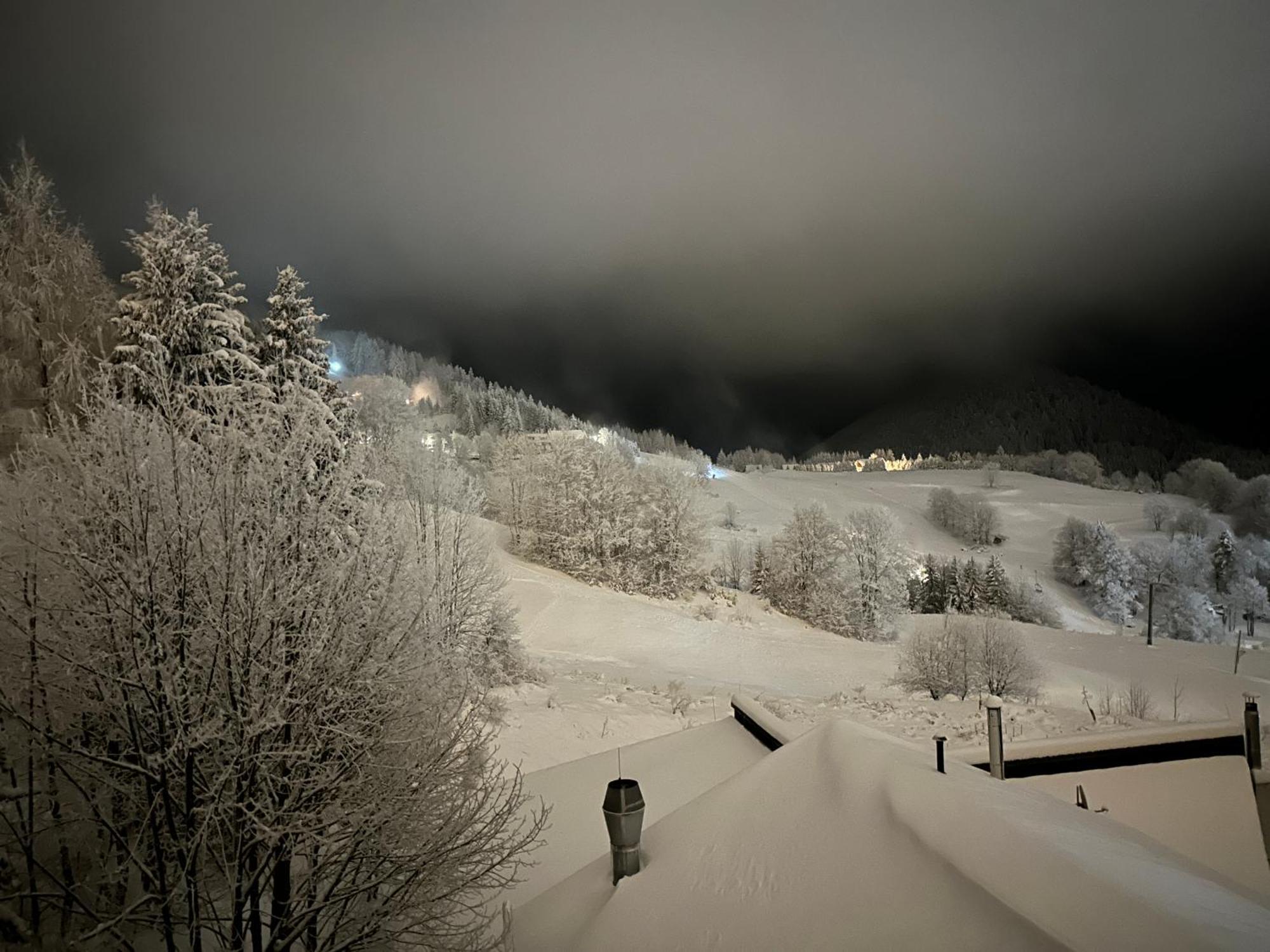 Apartman Forest View Donovaly Exteriör bild