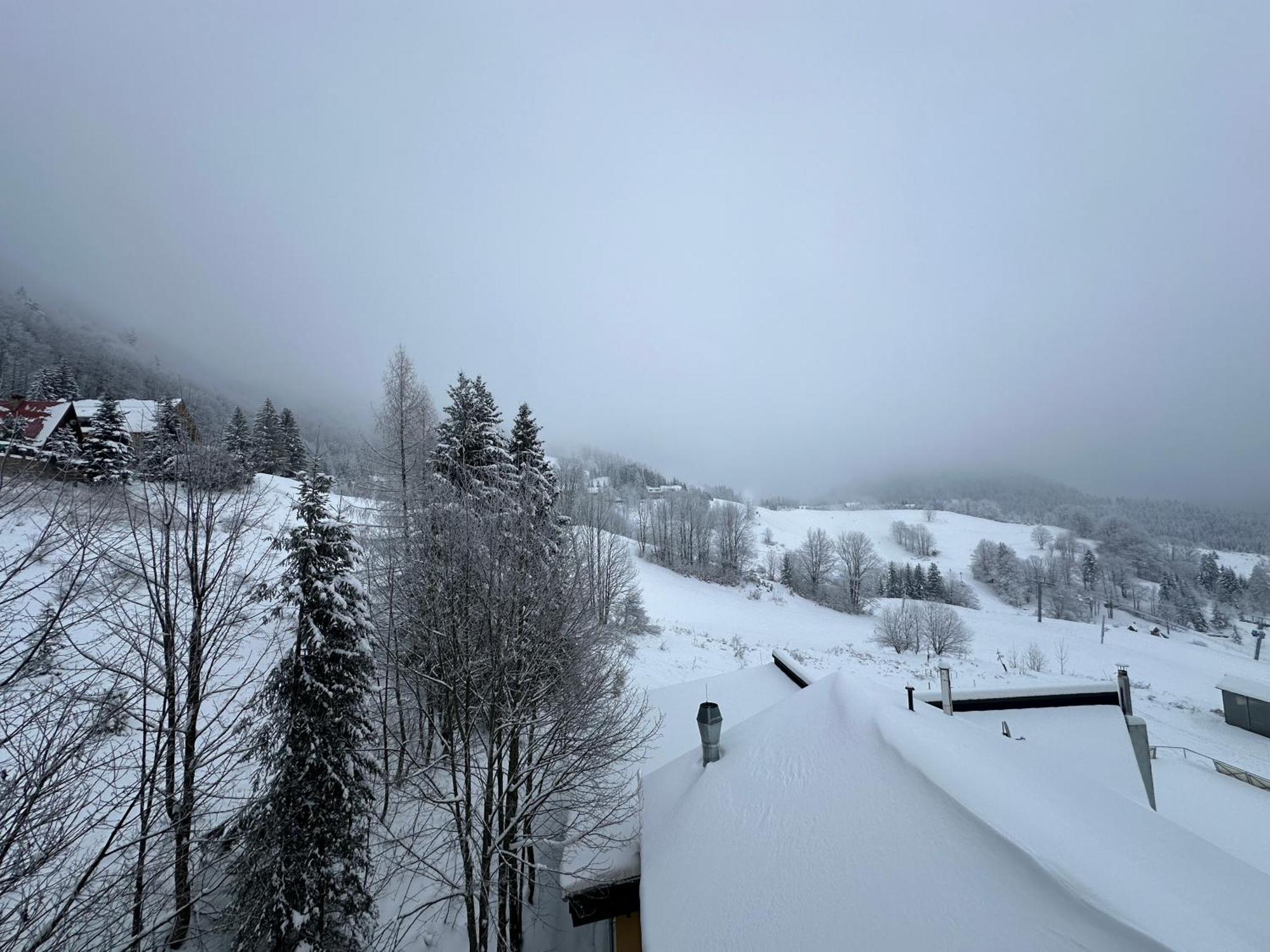 Apartman Forest View Donovaly Exteriör bild