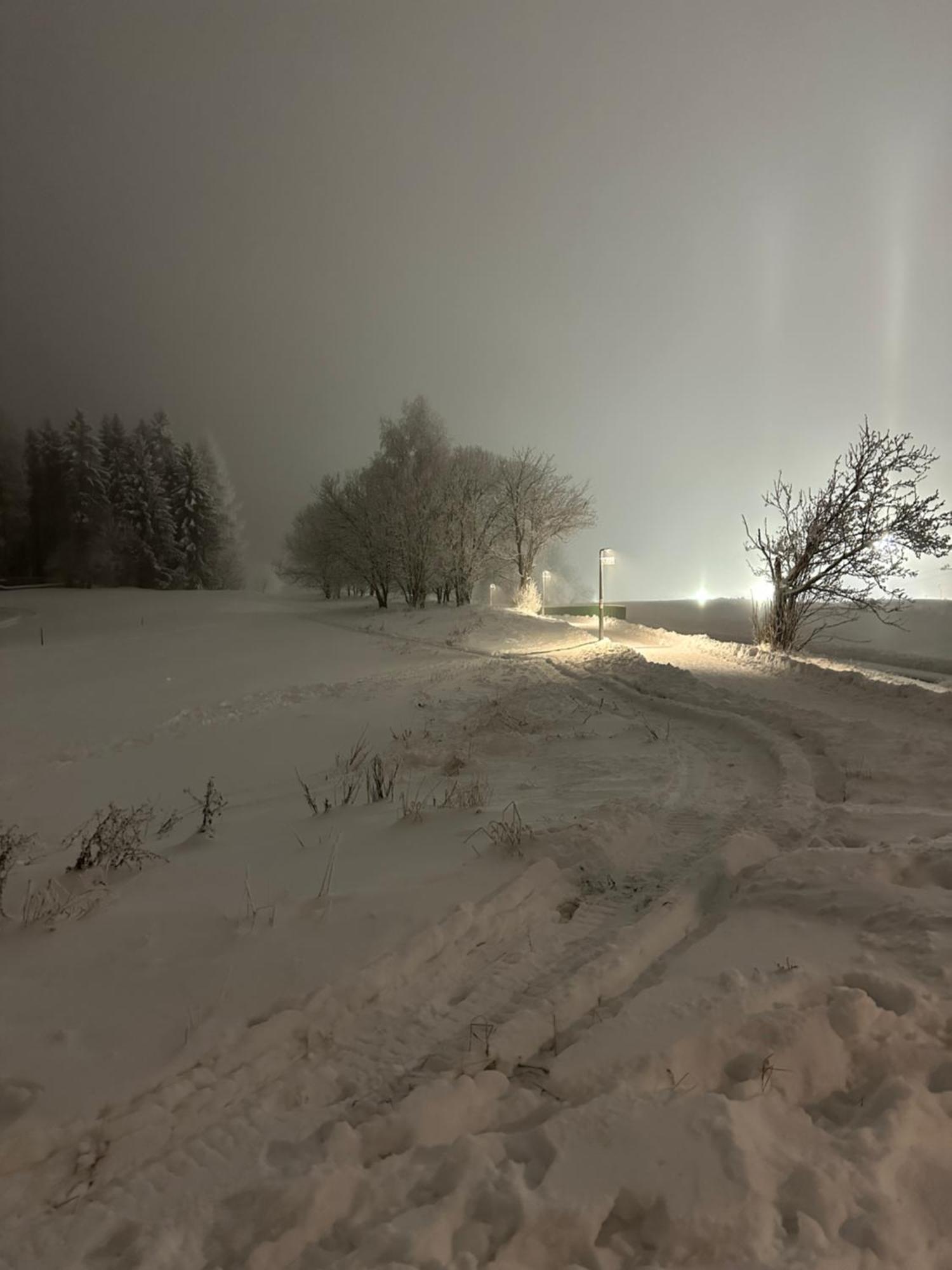 Apartman Forest View Donovaly Exteriör bild